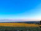 Views towards charing