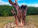 Sculpture by lake.