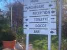 Ingresso