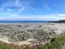 Local bay pano