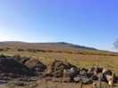 Tor accessible near campsite