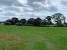 Camping field