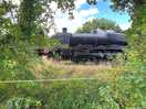 Steam train entertainment