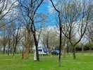 Early in season . can accommodate large caravan despite website saying limited size!!!!