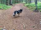 Walk from site