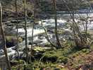 River lowther