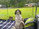Quiet camping area