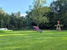Park
