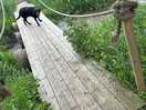 Bridge into next field