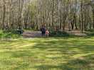 Forest walka