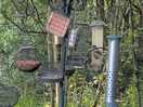 Taken from the bird hide