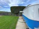 Left side of our pitch showing hedge
