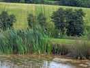 Fishing lake