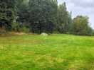 Middle field