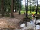 Hier is een kabelbaan voor de kinderen midden in het bos wat dicht bij de tenten is.