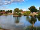 View from across the pond