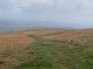 Views on the walks