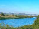 Great dog walk from site