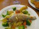 Lovely seabass