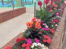 Beautiful flowers on site by reception.