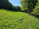 Meadow