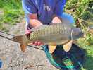 Main lake fish