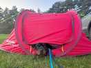 Testing out the tent, even though we slept in the car!