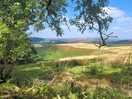Views on the farm walk