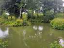 Revels fishery