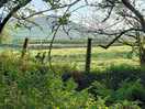 Scenery