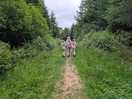 Walk in woods