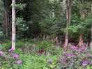 Lovely woodland walks nearby.