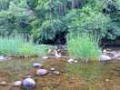 The beautiful river flowing alongside the site, great for paddling and swimming