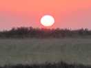 Great sun sets