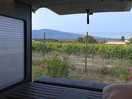 View from our campervan
