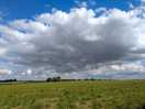 Cloud watching