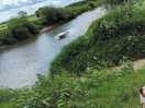 A view of the river