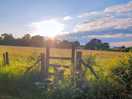 Field next to site to reach cuckoo trail at the bottom