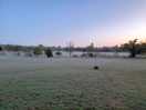 Early morning mists.