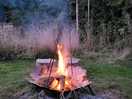 Campfire