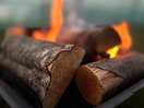 Fire pits allowed