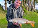 Plenty of fish in lakes