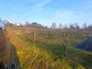 Beautiful views across the orchard