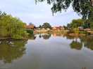 Fish pond