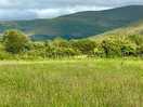 View from are pitch