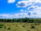 Gorgeous open space