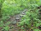 Pathway on beauttiful forest walk to waterfall and natural pool