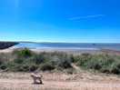 View of the beach from the road outside the campsite