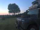 The only sound was nature at dusk.