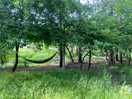 Hammocks next to the river
